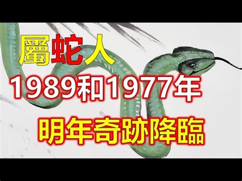 土蛇之命|1989年生肖蛇的是什么命 89年的属蛇人一生命运分析